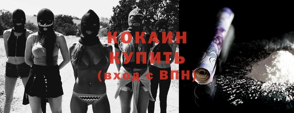 дмт Абаза